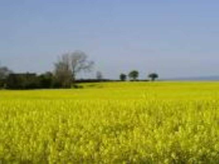 Ferienwohnung für 4 Personen, mit Terrasse und Garten, kinderfreundlich in Hasselberg - 2