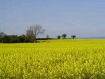 Ferienwohnung für 4 Personen in Schwackendorf, Hasselberg, Bild 1
