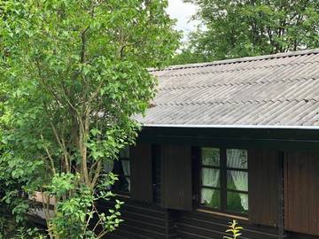 Ferienhaus für 4 Personen in Bad Arolsen, Twistesee, Bild 3