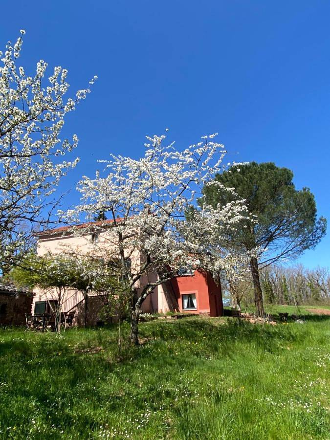 Chambre d’hôte pour 2 personnes, avec Terrasse ainsi que Jardin et Vue