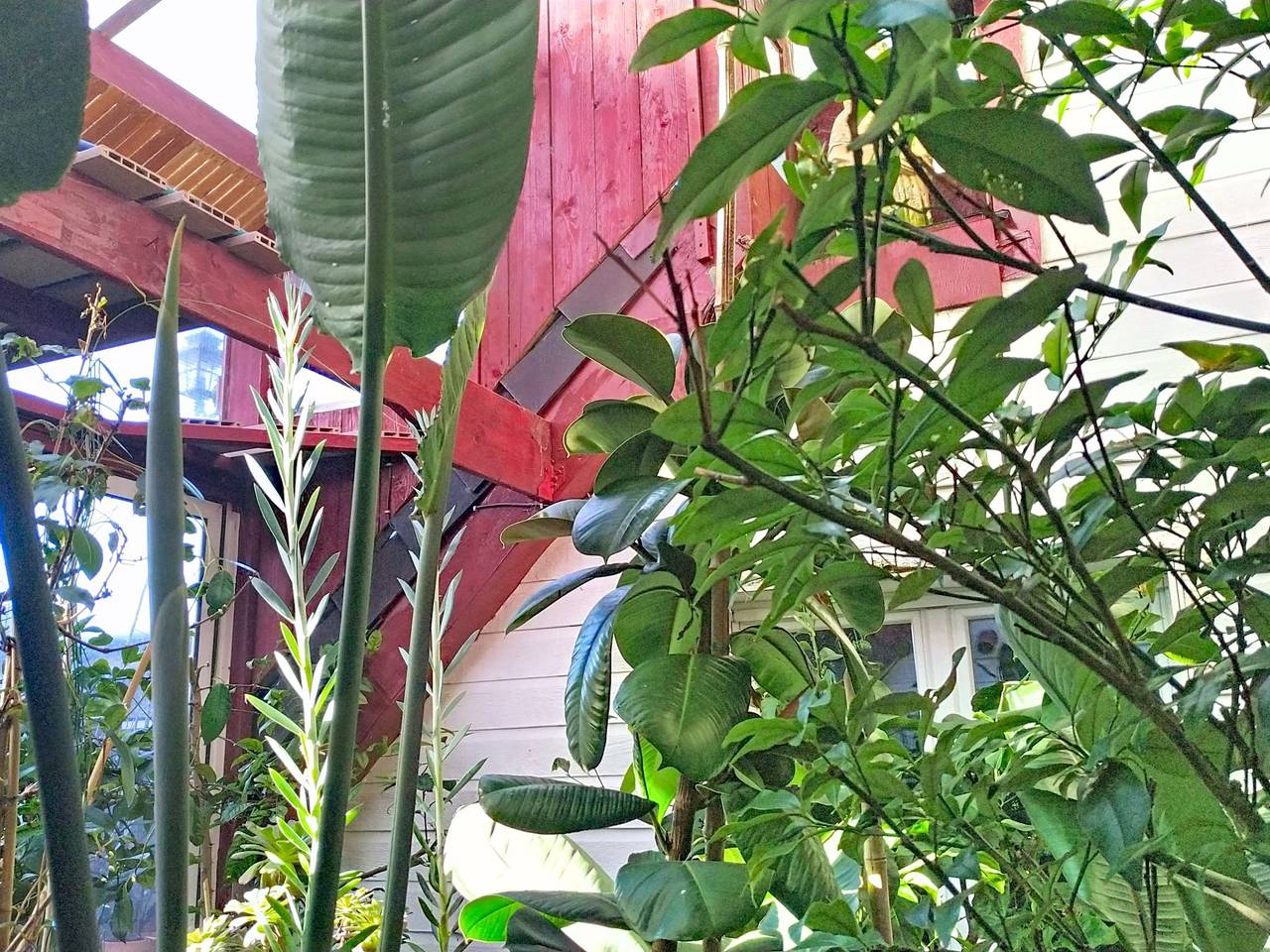 Le Paradis des Fleurs in Agon-Coutainville, Coutances