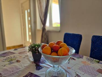 Apartament Wakacyjny dla 5 osoby w Zaboric, Żupania szybenicko-knińska, Zdjęcie 3