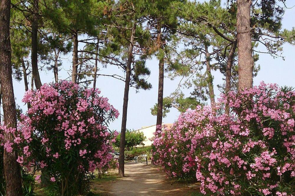 Casa Bd de mer Aire acondicionado Wifi Gran jardín Estacionamiento 5 pers in Borgo, Región de Bastia
