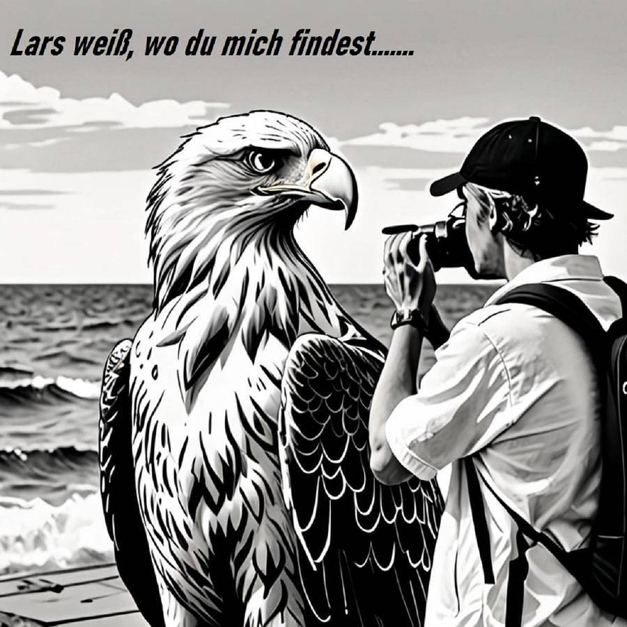 Hotel-Pension Seeadler in Prerow, Fischland - Darß - Zingst