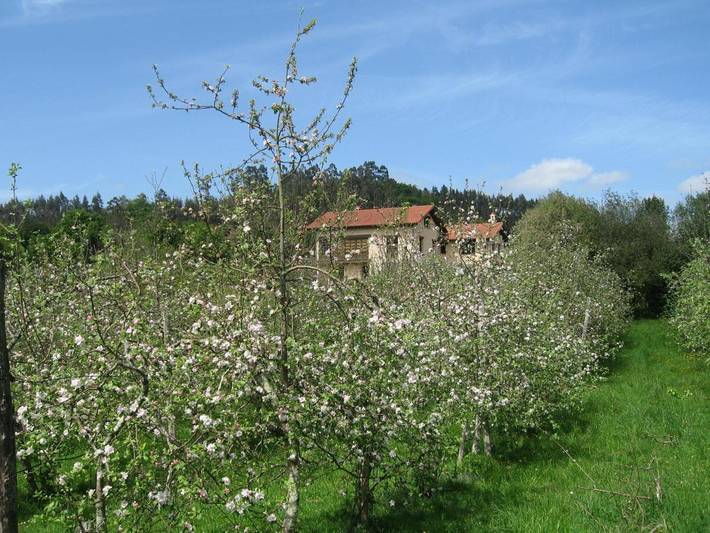 Casa rural para 3 personas, con vistas además de terraza y jardín en Villaviciosa  - 3