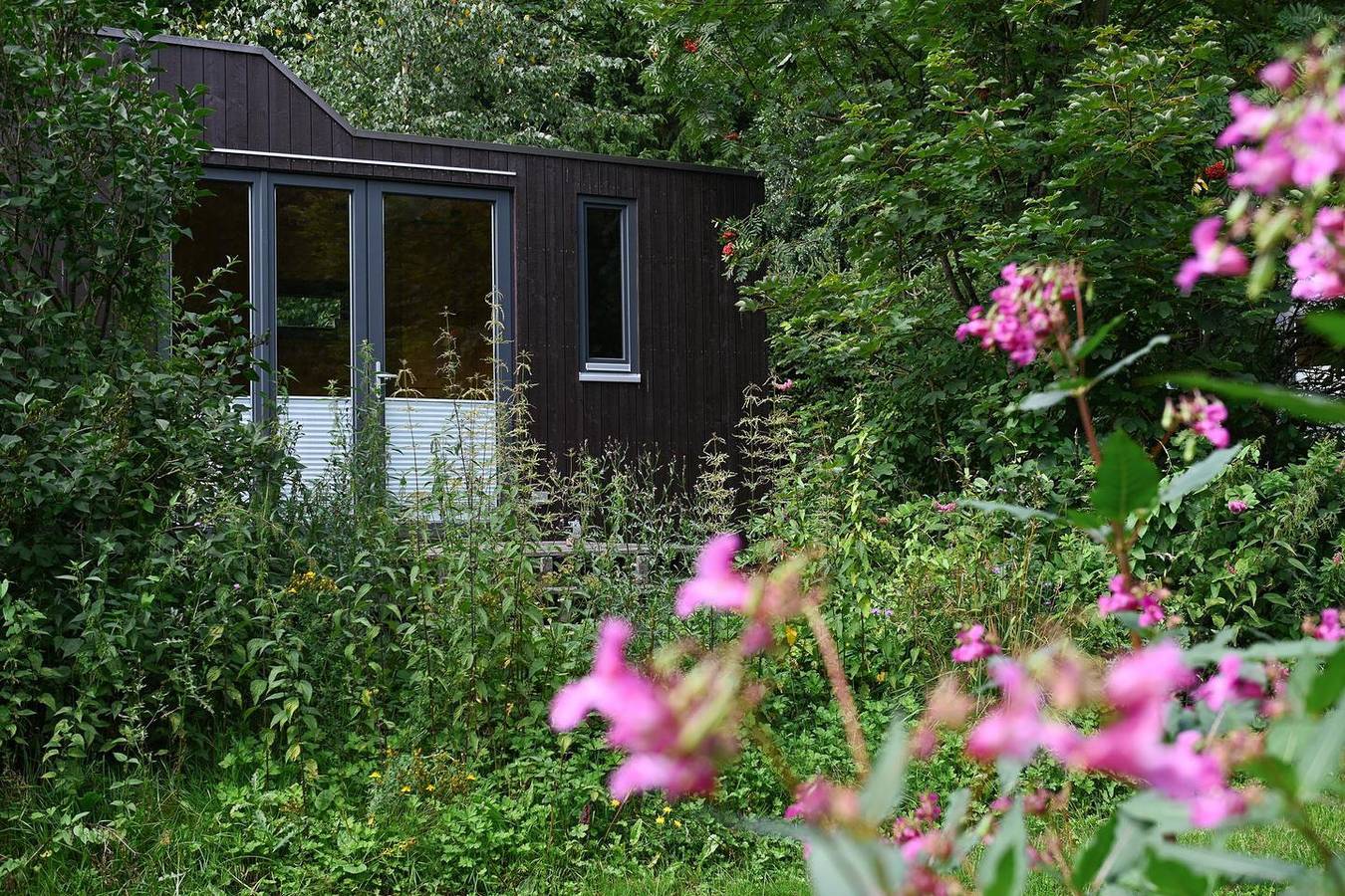 Nachhaltig übernachten im Green Tiny House Nature im Harz in Osterode, Harzvorland