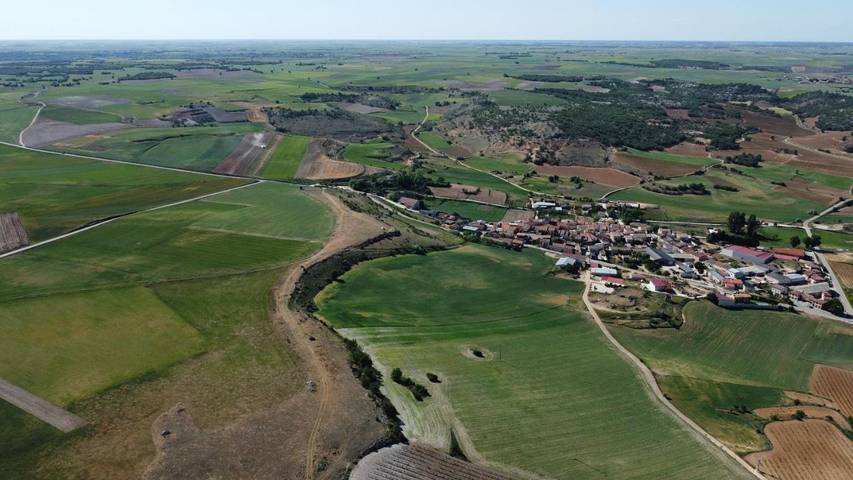 Casa rural para 6 personas, con vistas y terraza, Se admiten mascotas en Ribera del Duero - 3
