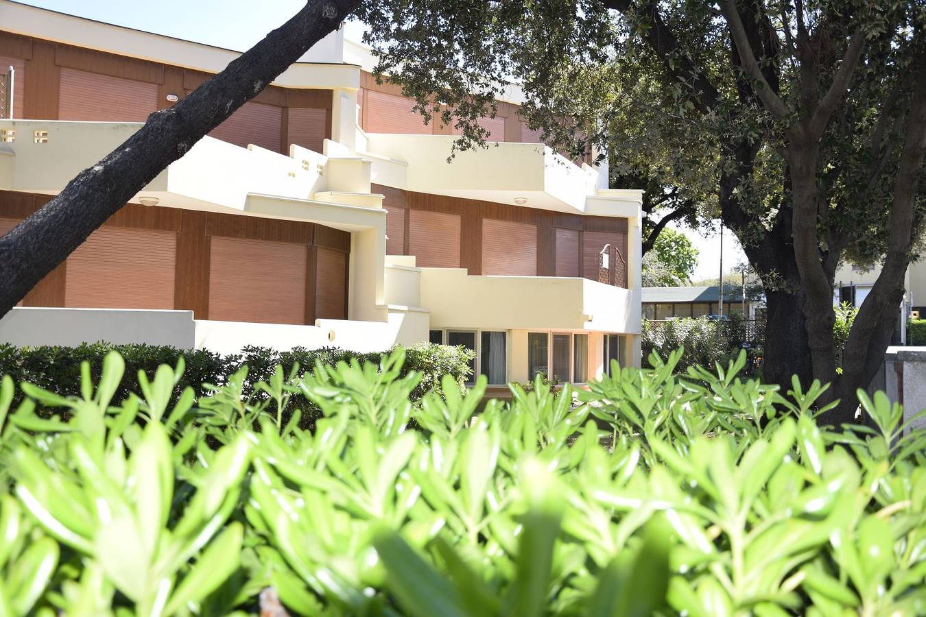 Ganze Ferienwohnung, 6 Posti Letto - Cornamusini - Appartamento In Affitto - Via Della Principessa 84 in San Vincenzo, Etruskische Küste