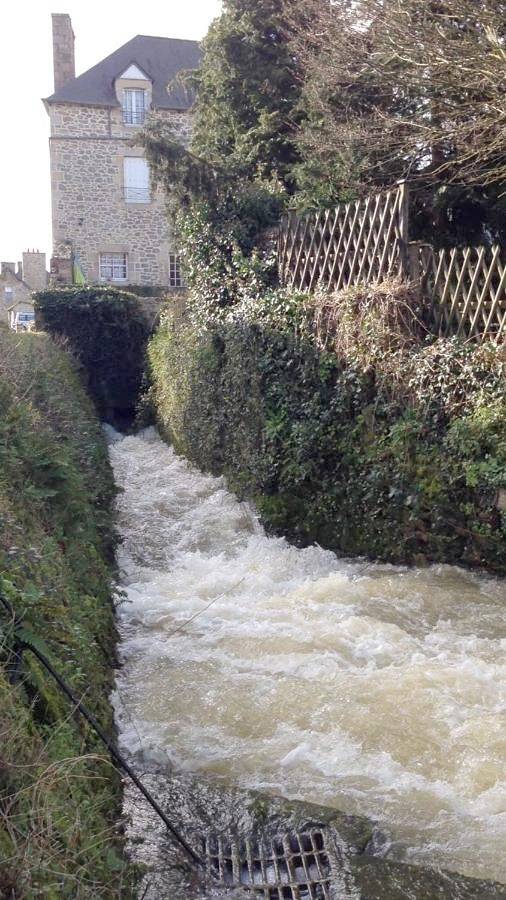 Location de vacances pour 3 personnes, avec jardin et vue, animaux acceptés à Jugon-les-Lacs - 4