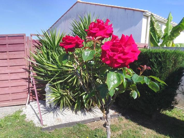 Apartamento de vacaciones para 1 personas - 1