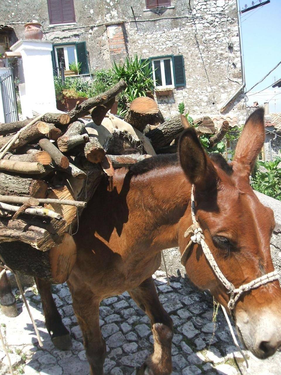 B&B Dell' Artista in Artena, Provincia di Roma