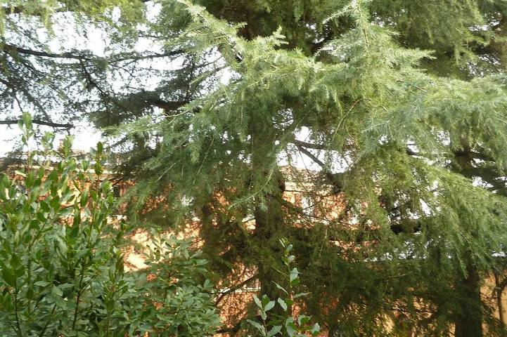 Ferienwohnung für 4 Personen, mit Balkon in Bologna