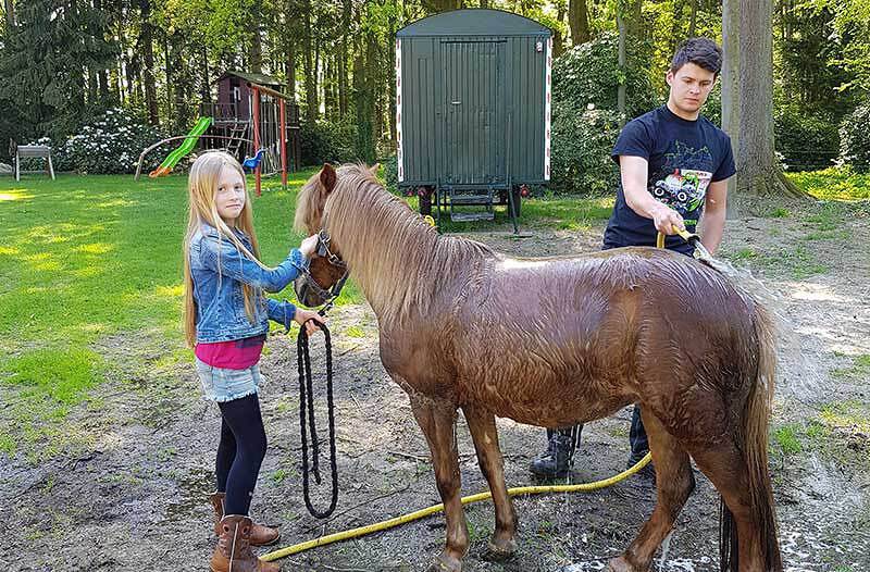 Gästehaus Bommelsen - Tinyhäuser in Bomlitz, Landkreis Heidekreis