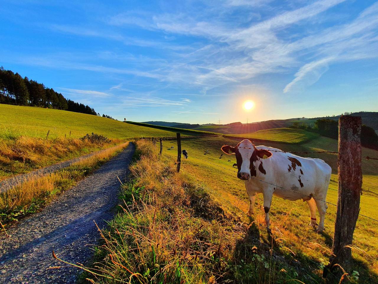 Blockhaus - Blockhaus 2 in Eslohe, Hochsauerlandkreis