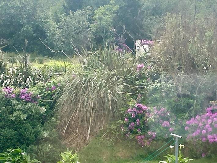 Gîte pour 2 personnes, avec jardin et vue à Clifden - 3