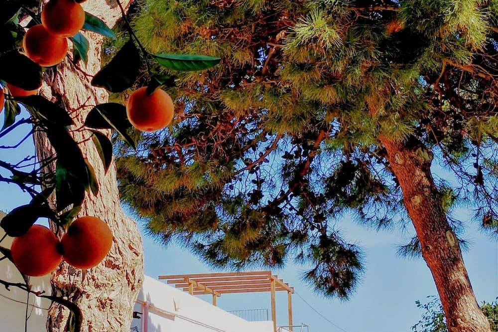Country house flair with island views in Mongiove (Patti) in Mongiove, Patti