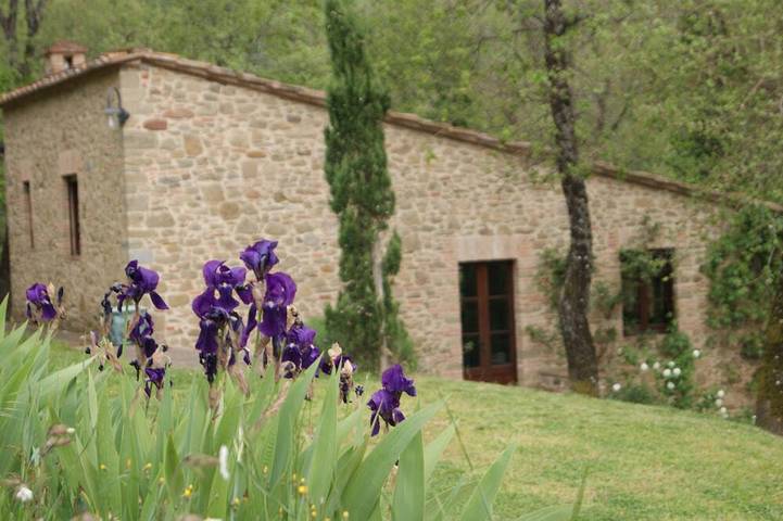 Gîte pour 2 personnes, avec Terrasse ainsi que Jardin et Piscine à Monte San Savino