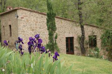 Cottage für 2 Personen, mit Terrasse und Garten sowie Pool in der Toskana