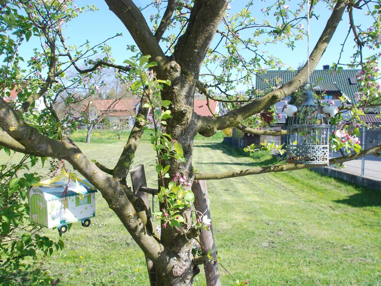 Ganze Ferienwohnung, Ferienwohnung Vogelnest - Ferienwohnung Vogelnest, 50qm, Garten, 1 Schlafzimmer, max. 2 Personen in Teningen, Südschwarzwald