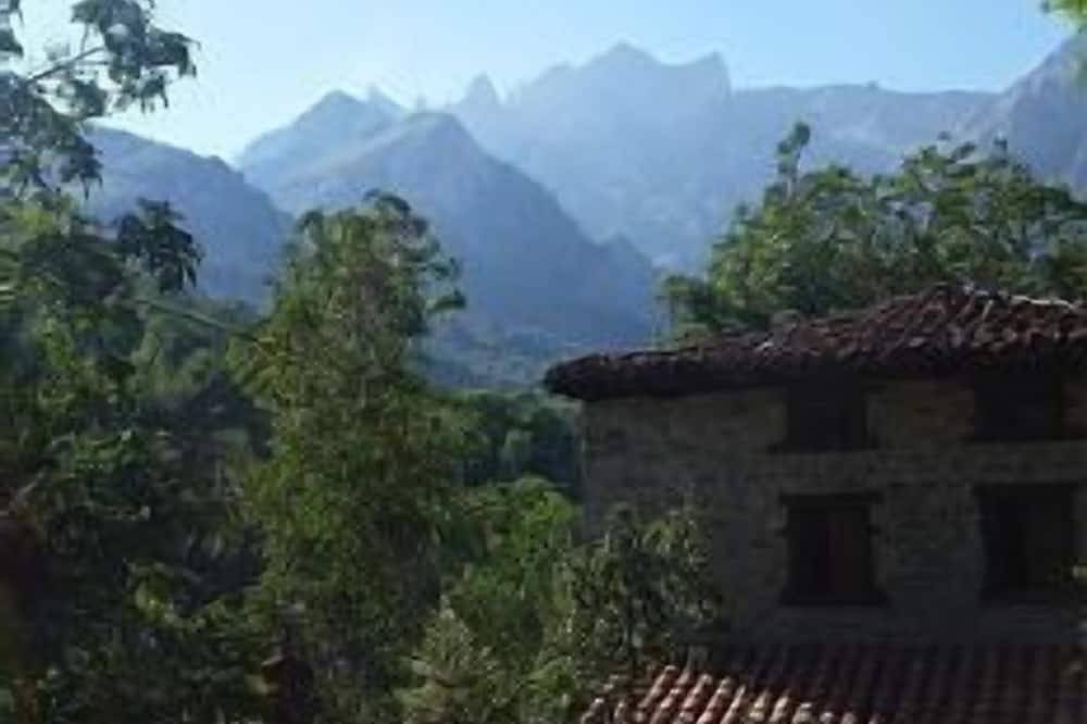 Casa rural La Ribera para 4 personas in Lon, Camaleño