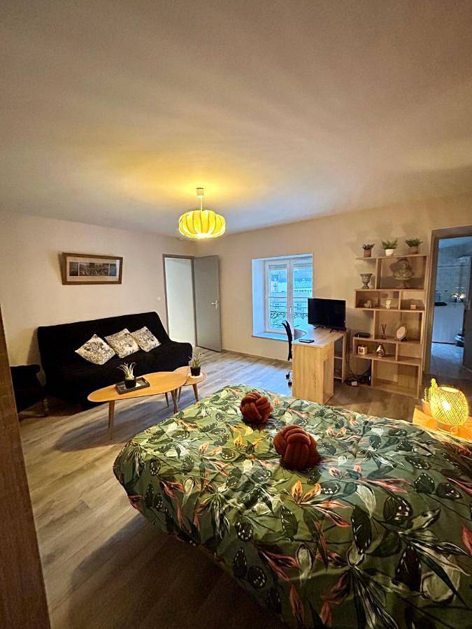 Appartement entier, One-Bedroom Apartment in Chaumont, Haute-Marne