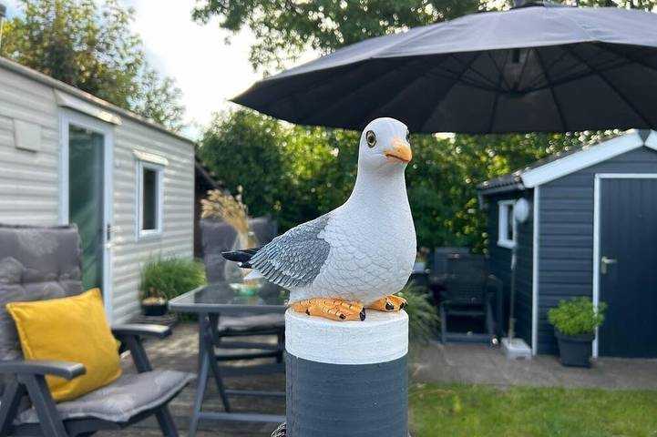Chalet voor 4 personen, met tuin, met huisdier in Callantsoog