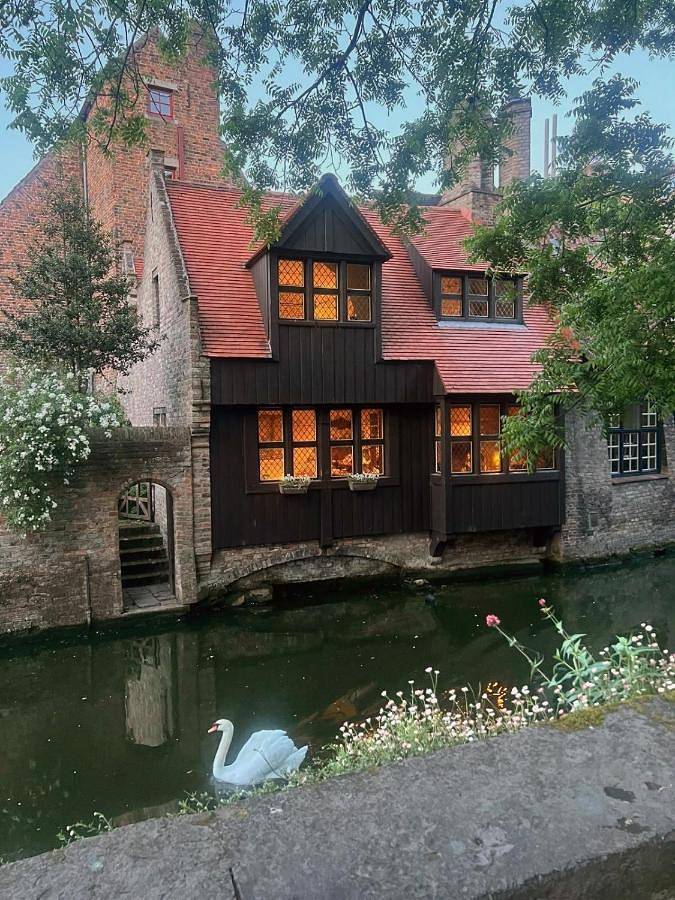 B&b voor 2 personen, met terras en whirlpool, met huisdier in Brugge