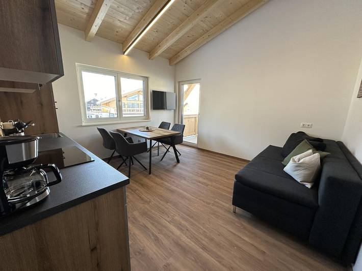Ganze Ferienwohnung, Apartment 5 in Hohe Tauern, Hollersbach im Pinzgau