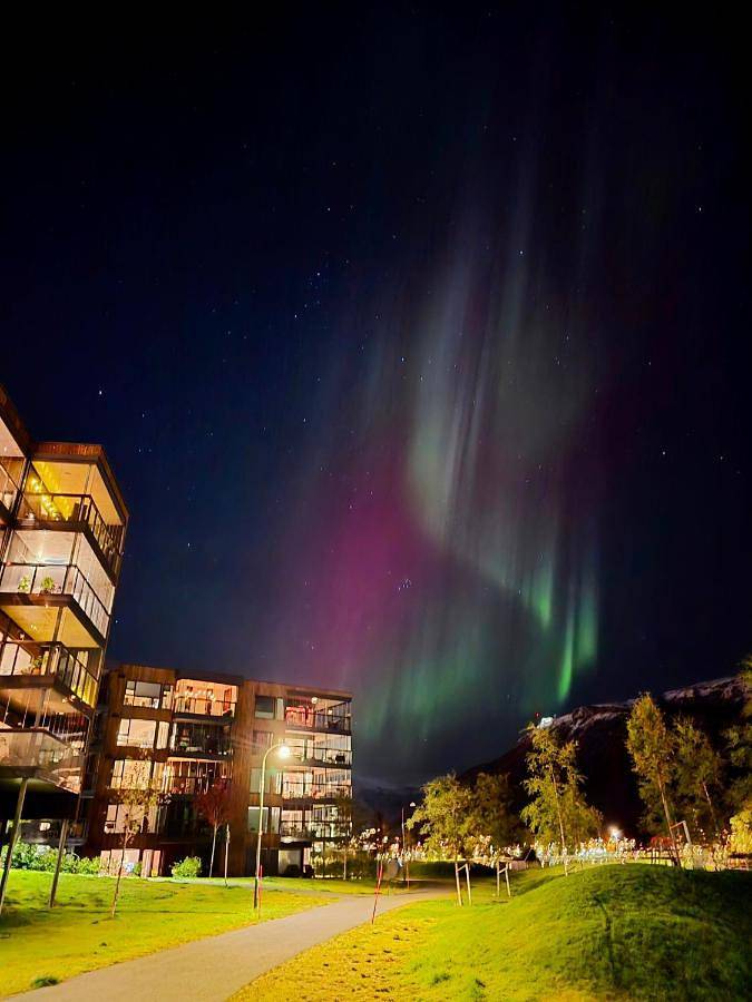 Ferieleilighet for 4 personer, med hage og utsikt i Tromsø