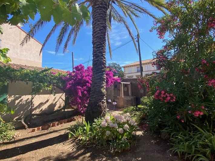 Location de vacances pour 8 personnes dans Porquerolles - 2
