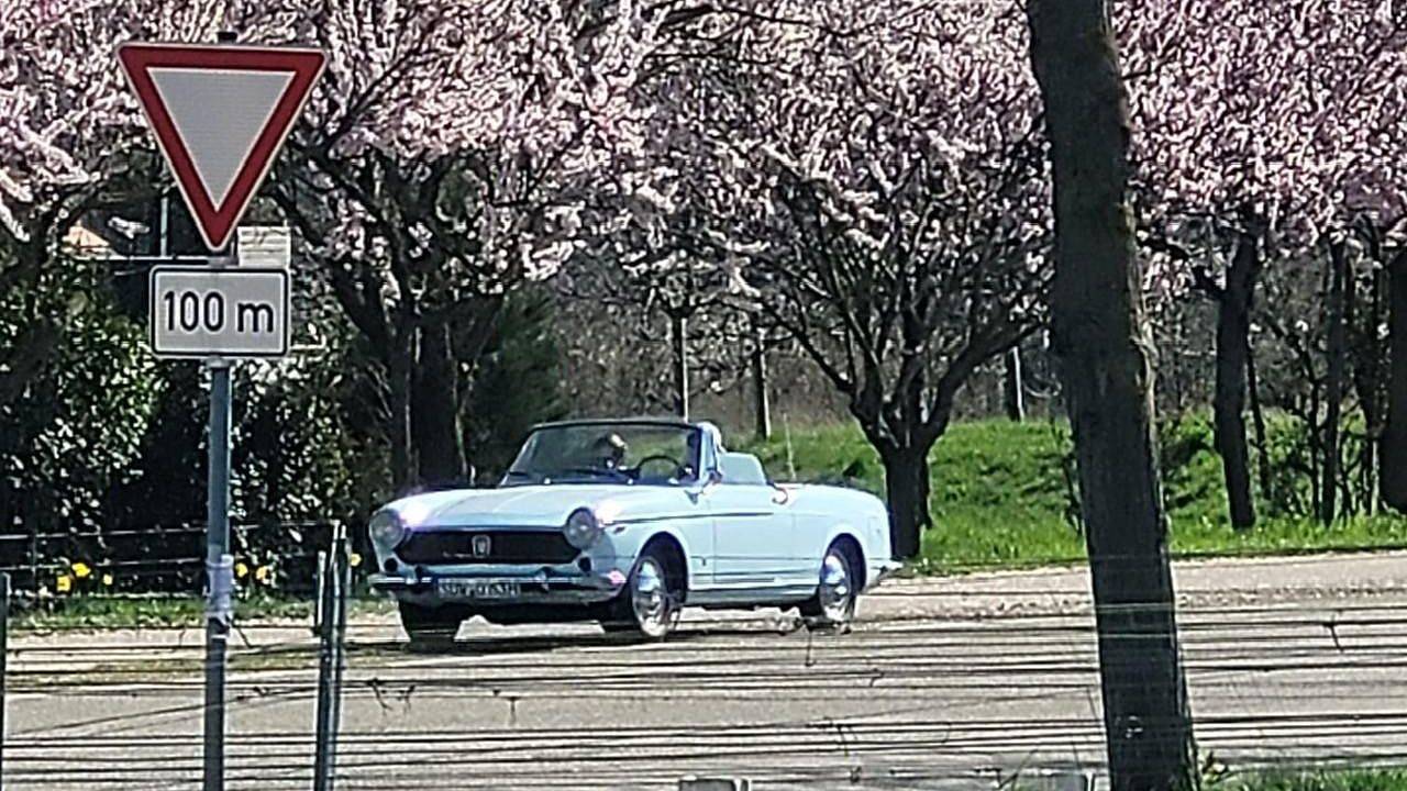 Ganze Ferienwohnung, Ferienwohnung für 2 Personen (50 m²) in Maikammer in Maikammer, Südliche Weinstraße