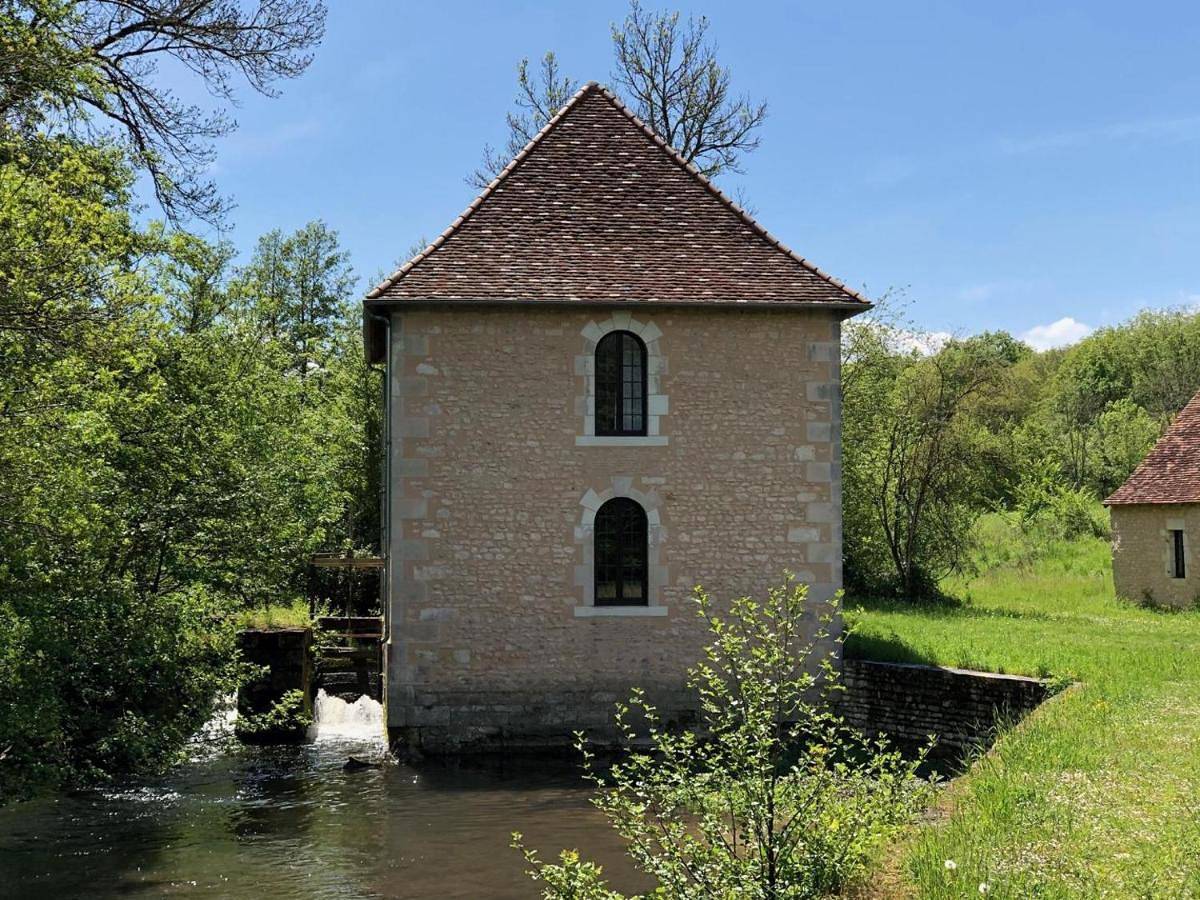 Le moulin brûlé in Béthines, Vienne (France)