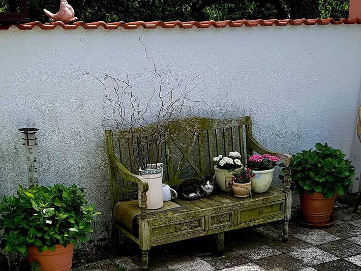 Ferienwohnung für 2 Personen, mit Garten und Pool in Dessau-Wörlitzer Gartenreich - 2