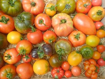 Location de vacances pour 2 personnes, avec jardin ainsi que terrasse et vue à Cheillé