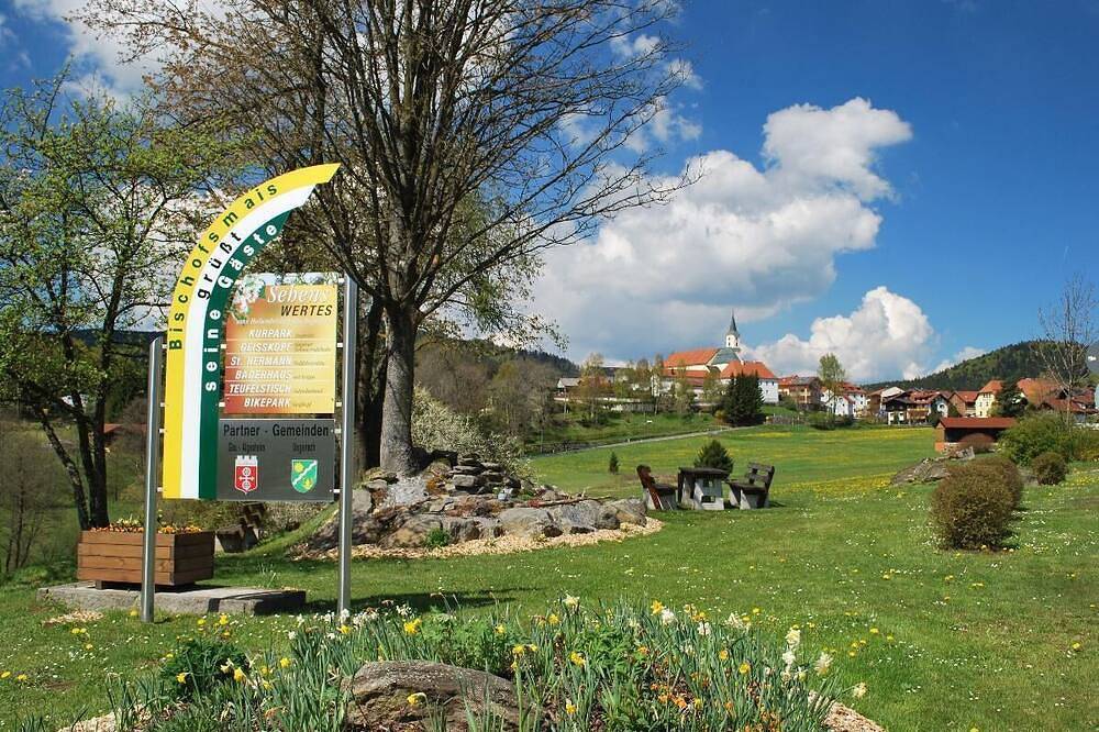 Ganze Wohnung, Ferienwohnung (45qm) für 2 Personen mit separater Küche in Bischofsmais, Vorderer Bayerischer Wald