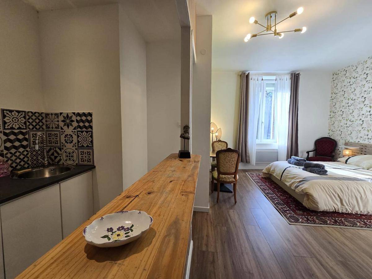 Appartement entier, Studio, avec cuisine et salle de bain face au Jardin Massey in Tarbes, Hautes-Pyrénées