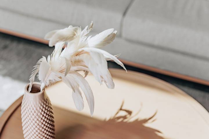 Bungalow für 4 Personen, mit Garten und Terrasse in Zeeland - 4