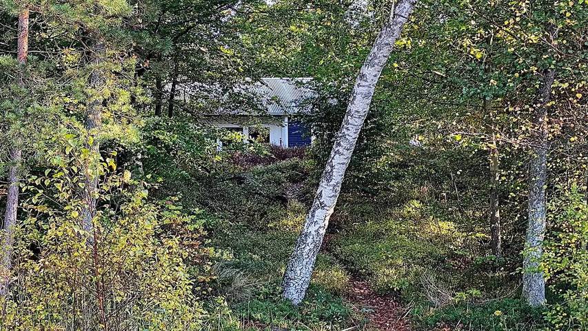 Ferienhaus für 5 Personen, mit Terrasse in Skane - 4