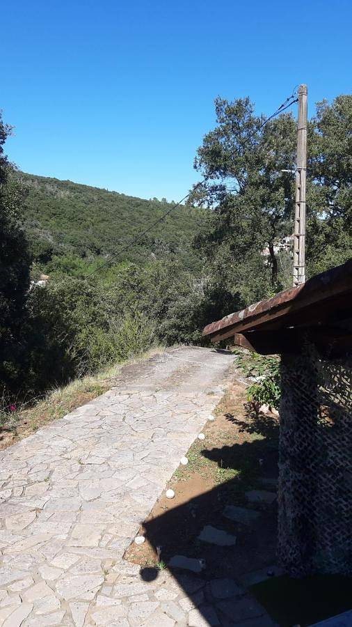 Gîte pour 4 personnes, avec jardin ainsi que piscine et vue à Saint-Jean-du-Pin - 4