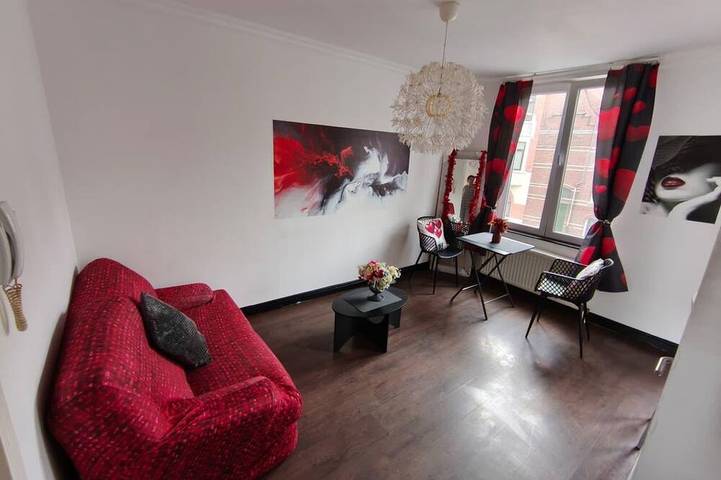 Ganze Wohnung, Niedliche Wohnung in schönem Leuven perfekt für Ihren Stadtaufenthalt in Heverlee, Löwen