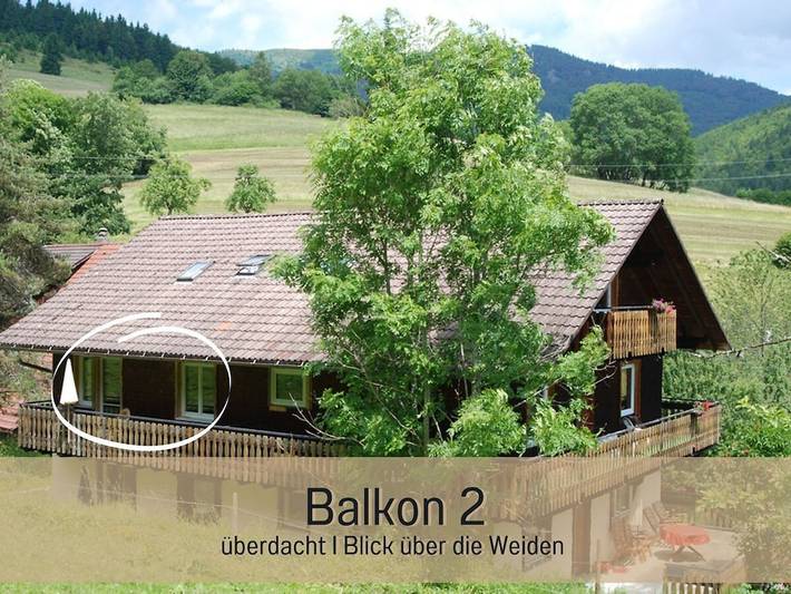 Gemütliche Ferienwohnung mit Balkon, 1,5 km vom Stadtzentrum von Oberböllen entfernt in Neuenweg, Kleines Wiesental