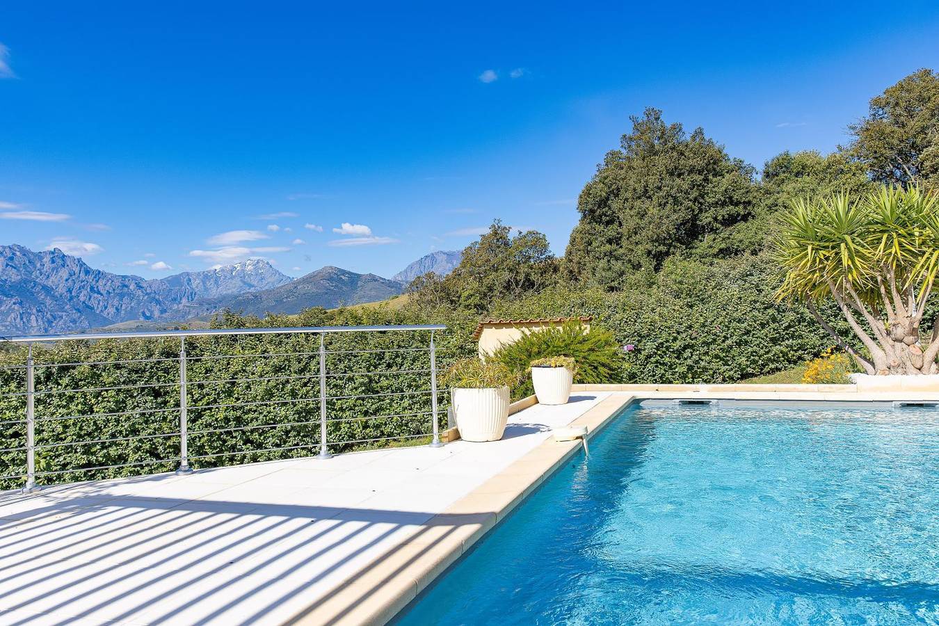 Les Oliviers in Pietralba, Région de Calvi