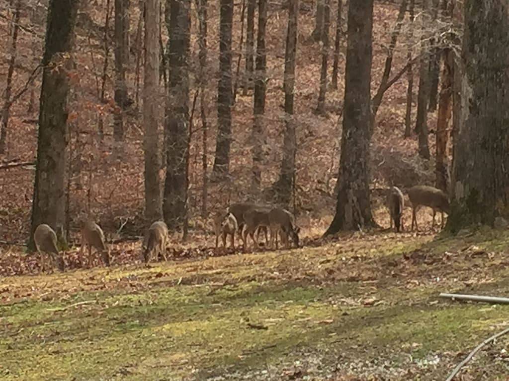 Lake House for 2 Guests in Mississippi, USA