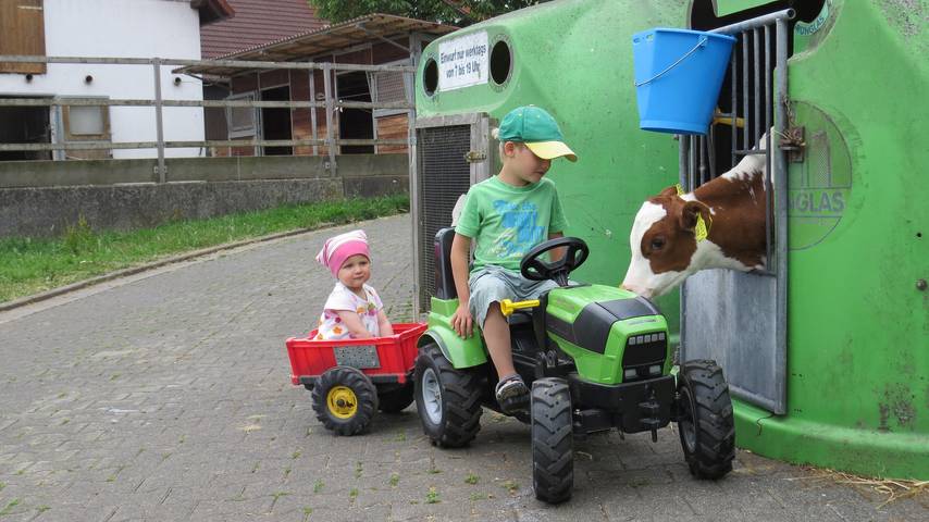 Ferienhof Wahls - Tinyhäuschen Hasenstall, 1 Doppelbett + 1 Einzelbett, max. für 4 Personen in Grebenhain, Vogelsberg Region