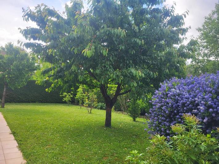 Location de vacances pour 4 personnes, avec jardin et jacuzzi à Noisy-le-Roi - 2
