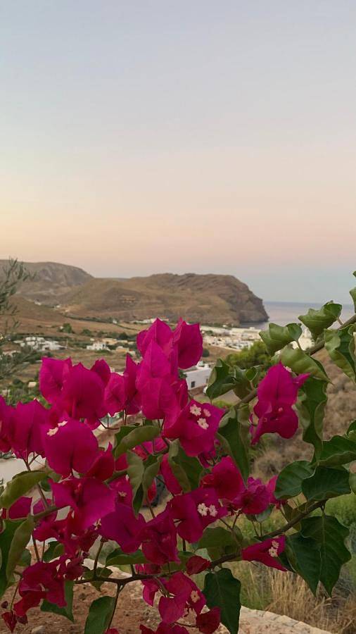 Chalet para 8 personas, con piscina además de jardín y vistas en Cabo de Gata - 3