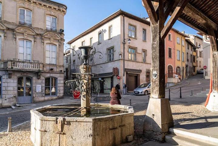 Gîte pour 5 personnes, avec vue et jardin à La Côte-Saint-André - 4
