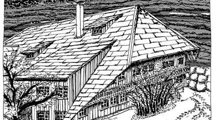 Bauernhof für 4 Personen in Böllen, Hochschwarzwald, Bild 3