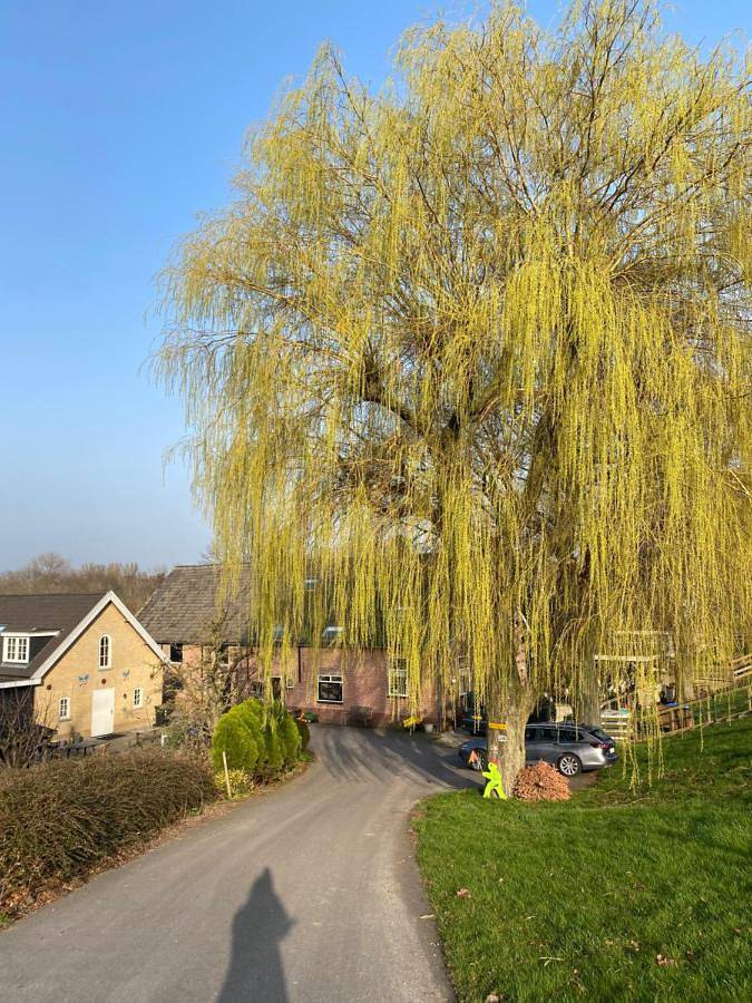 Gîte pour 2 personnes, avec jardin et vue ainsi que piscine et terrasse dans Lekkerkerk