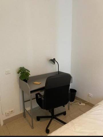 Gîte pour 4 personnes, animaux acceptés dans Thermes Sarrailh
